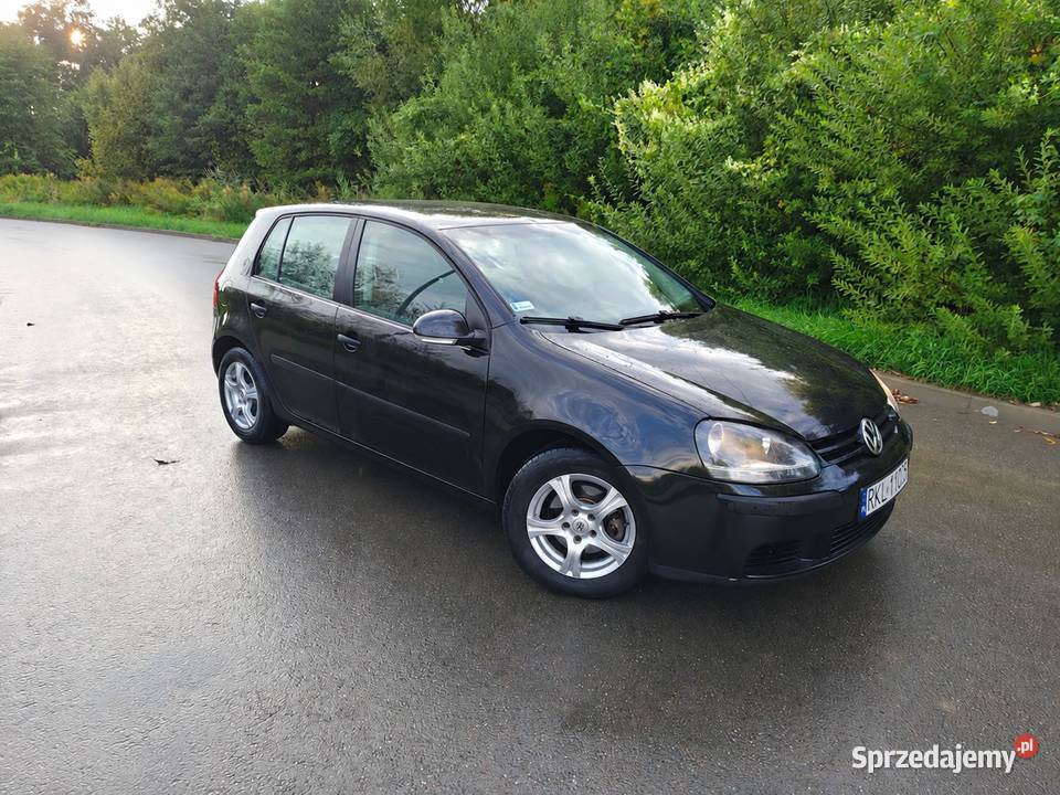 Volkswagen Golf V 16 mpi sprzedam