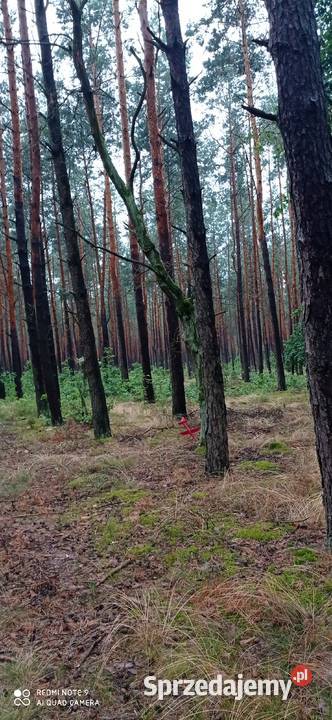 Dolina Liwca i Natura 2000 sasiedzku Łochów