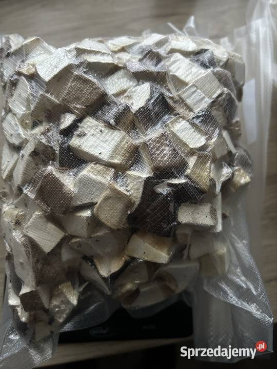 Białoporek brzozowy suszony 590g Gliwice sprzedam