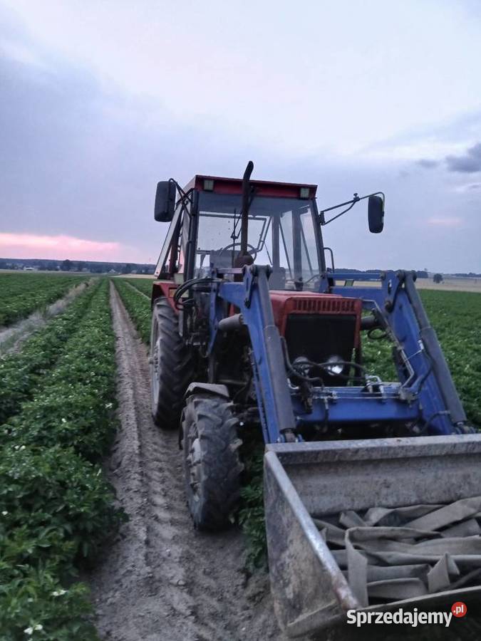 Mtz 82 tur Bolesławiec