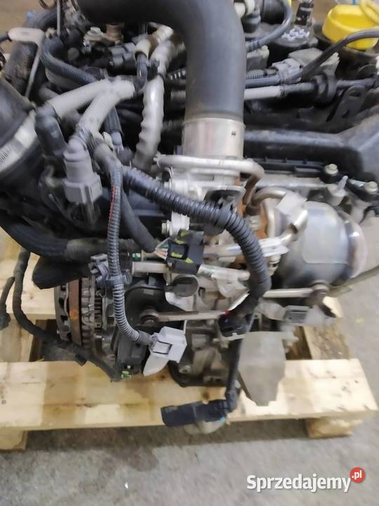 SILNIK KOMPLETNY BENZYNA H4DF480 10 TCE 22R Rok produkcji 2022 świętokrzyskie sprzedam