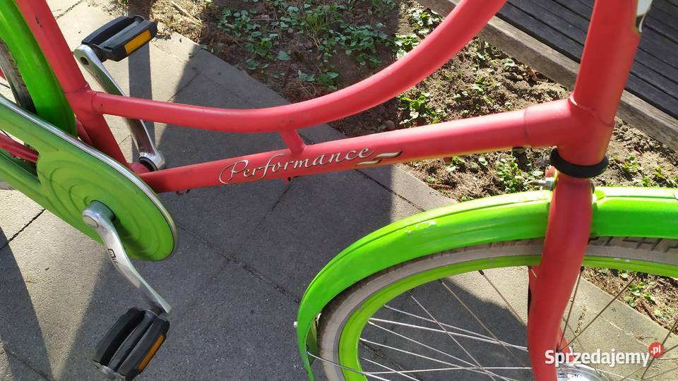 Fajna oldschoolowa damka holenderska PERFORMANCE Kraków