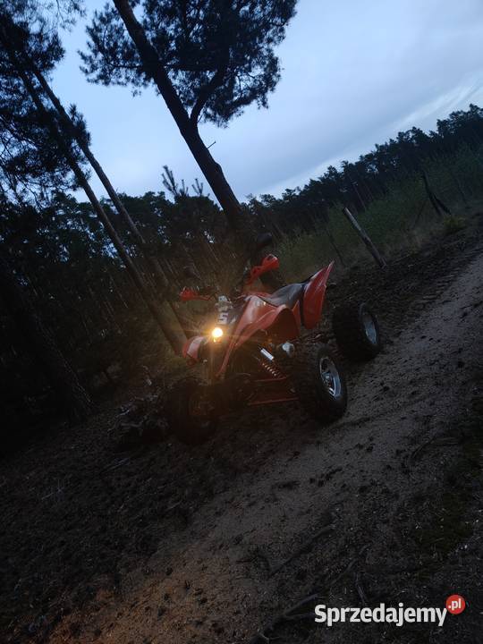 Quada Shineray 250 st9e ATV Gubin