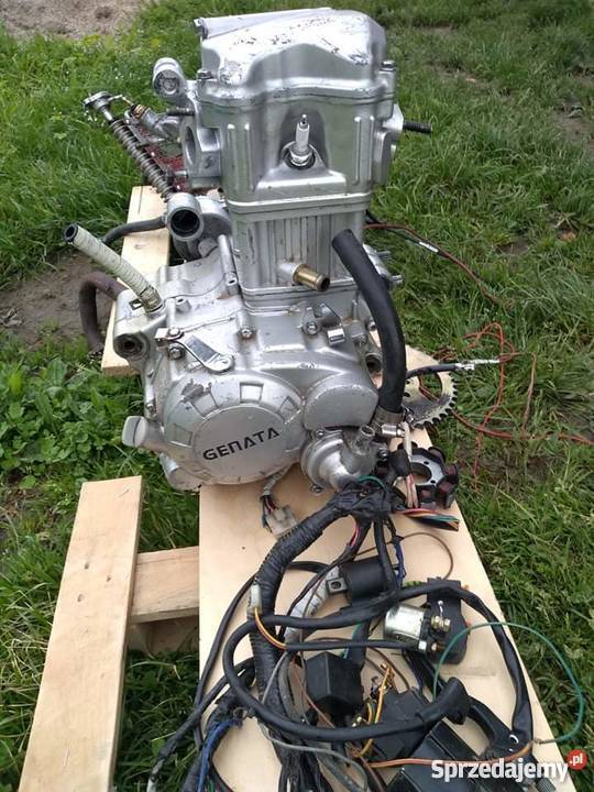 Silnik quad 250cc ciecz sprawny dużo dodatków Lesko