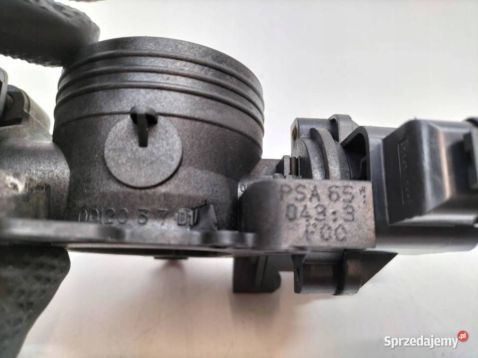 PRZEPUSTNICA 11 8V Peugeot 206 I 19982010 osobowe