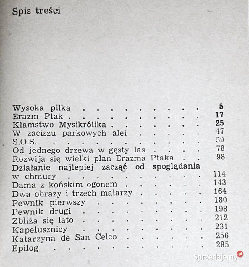 Pięty w chmurach Zbigniew Wróblewski miękka Pozostałe lubelskie Chełm