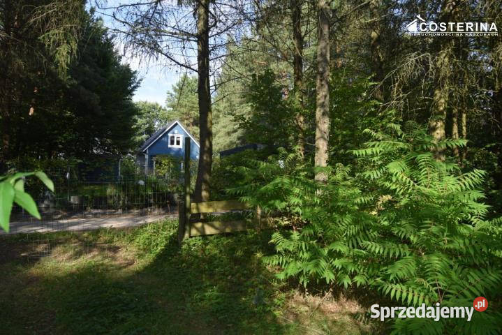 sprzedaży domu wolnostojącego Gołubie 80m2 pomorskie