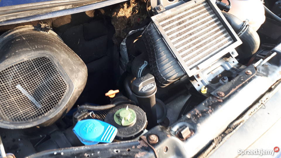 Transporter T4 z wojskaserwisowany sprowadzony Wąbrzeźno