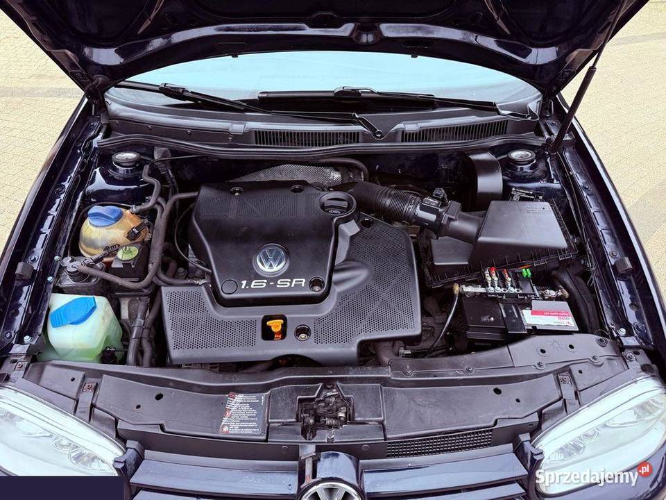 Volkswagen Golf 16 Basis 100 1999r wielkopolskie Krotoszyn