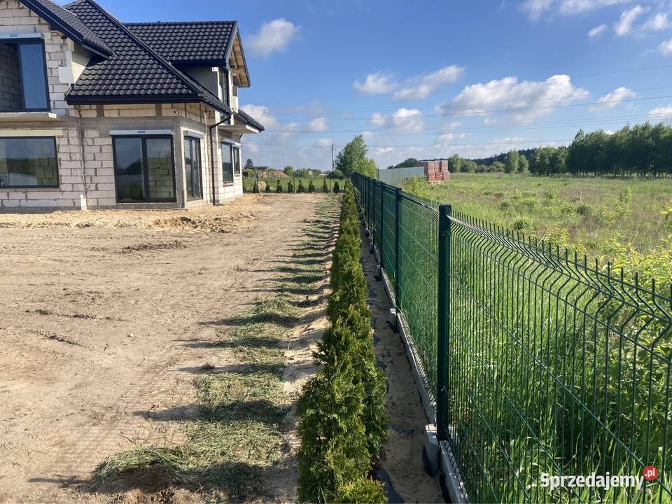 Usługi ogrodnicze łódzkie Piotrków Trybunalski sprzedam