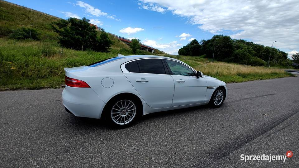 Jaguar XE 2014 Sedan 20 TD Navi Skóra Bi Ksenon automatyczna Bytom