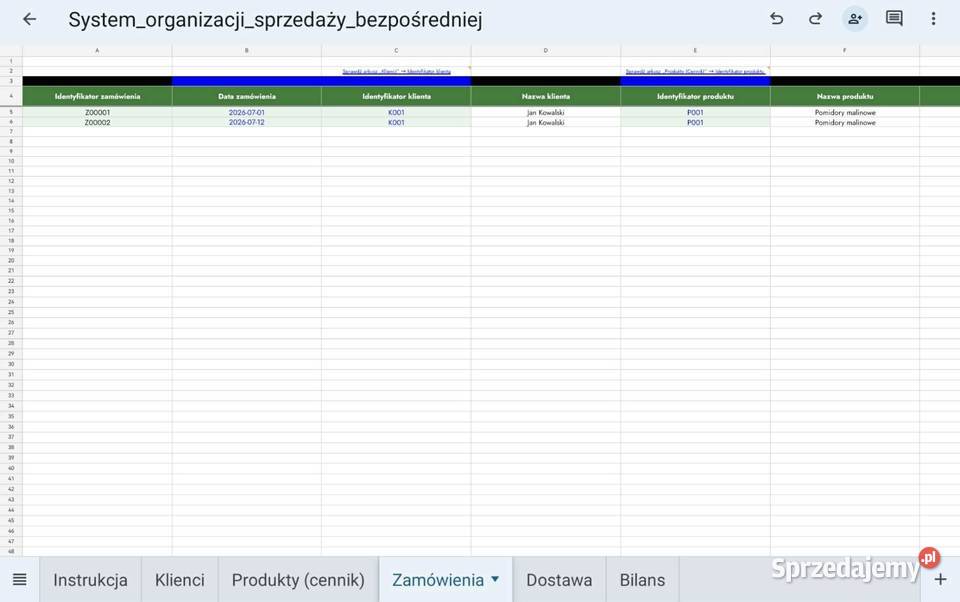 Sprzedaż bezpośrednia system Excel małopolskie