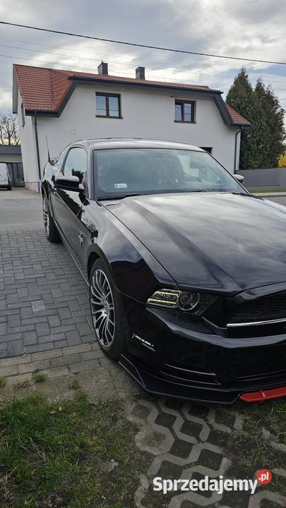 Mustang Premium 37 305 81000TKM ROUSH opolskie sprzedam