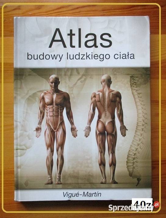 Histologie und mikroskopische Anatomiehistologia medycyna, nauki medyczne łódzkie Łódź