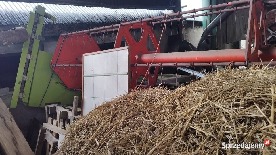 Claas Dominator 68s 2002 Rzepak Kurydza Zboże Zbożowe Nysa