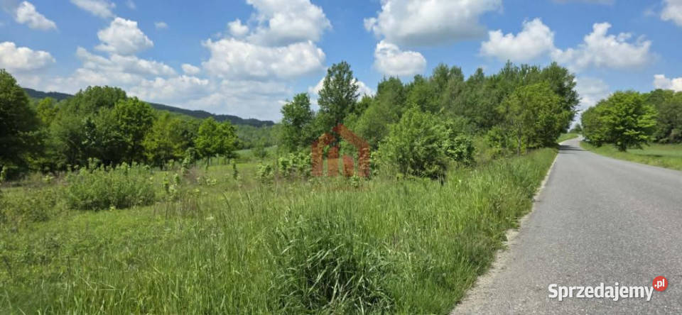 Działka 5200m2 Dębowa