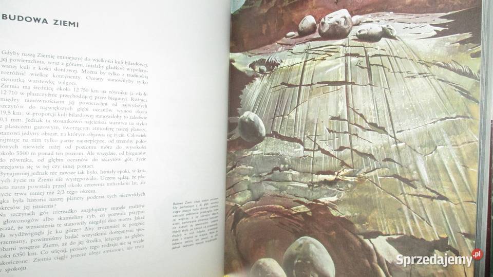 Ziemia Rośliny Zwierzęta LarousseNasza przyroda Łódź