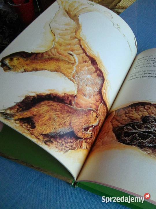 National Geographic Society Warszawa