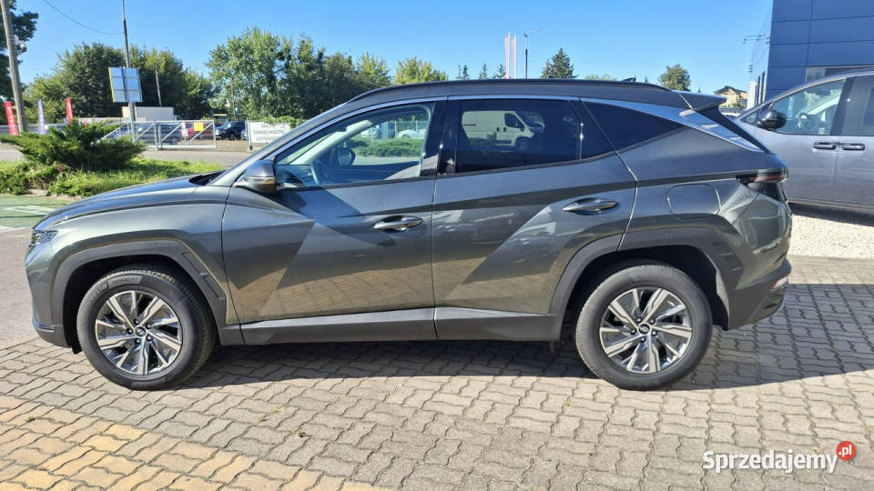Hyundai Tucson 4wd Executive 230 IV 2020 Ostrołęka