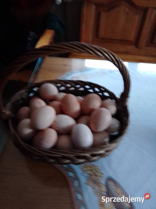 Sprzedam jajka wiejskie ekologiczne Targowiska