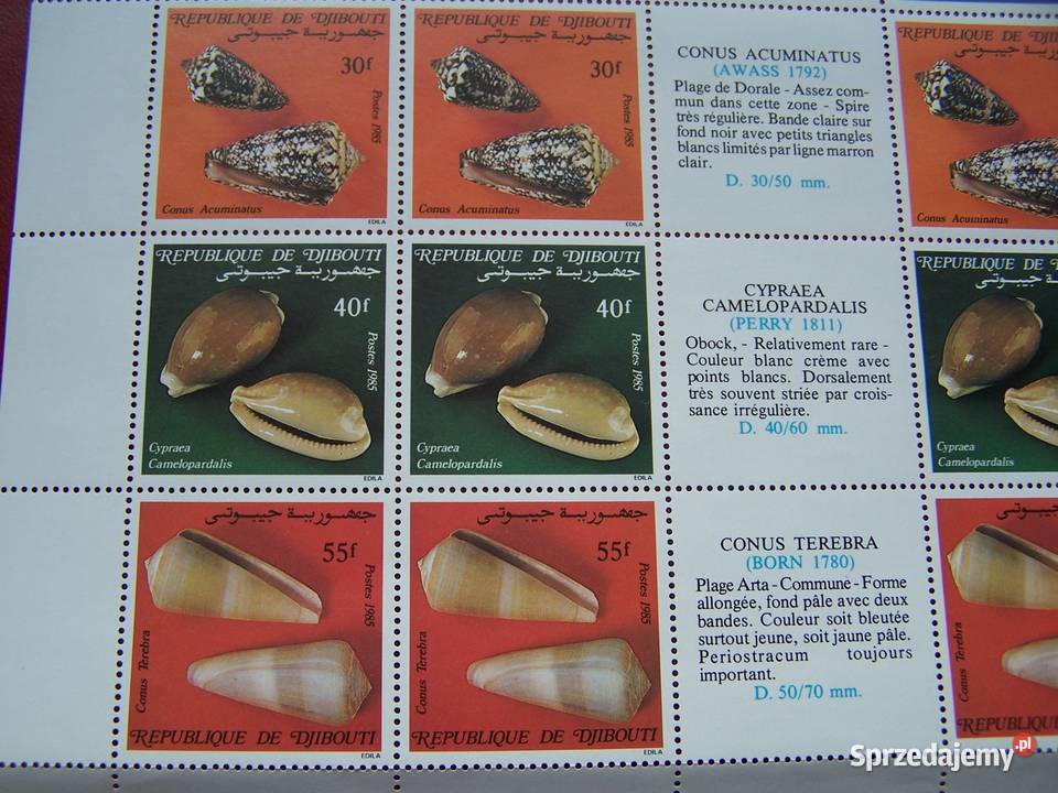 Dżibutti 1985 MNH Mi 44751 Fauna Ślimaki Muszle Tychy