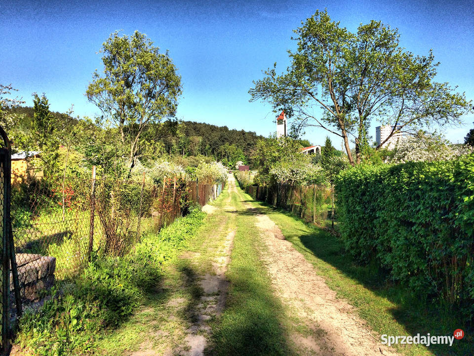 Działka ROD Niedźwiednik Gdańsk 540 m2 74zł/m2 sprzedam