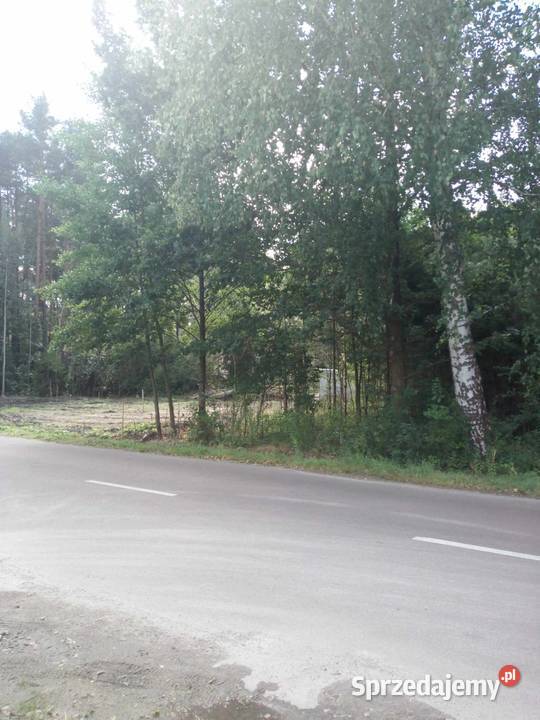 Działka budowlna Janów Lubelski budowlana