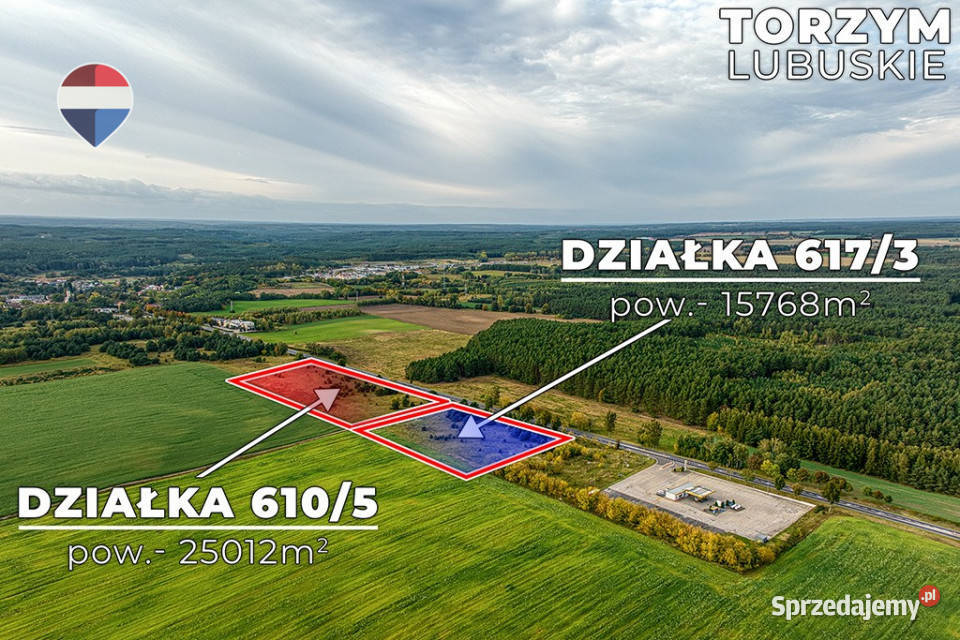 Na sprzedaż 2 działki z potencjałem 40780m2 Torzym sprzedam