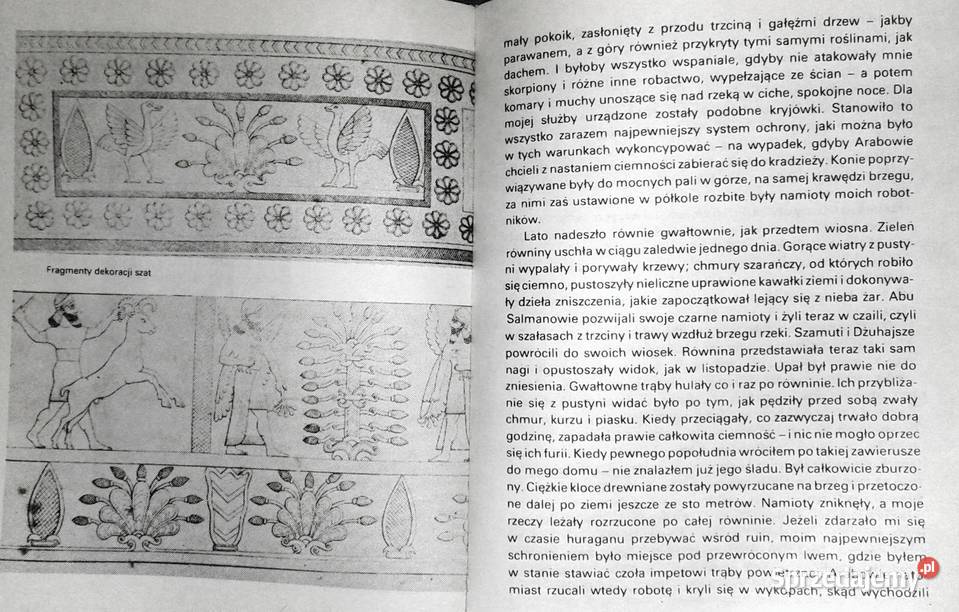 W poszukiwaniu Niniwy Austen Henry Layard lubelskie Chełm