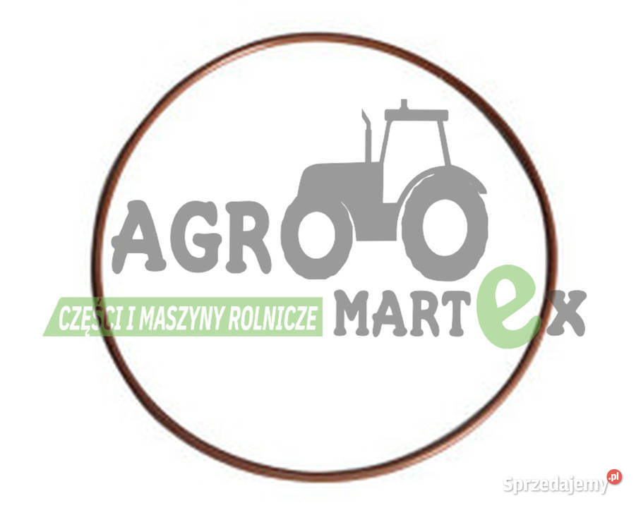 93137C1 87774815 PIERŚCIEŃ ORING CNH Wichrów