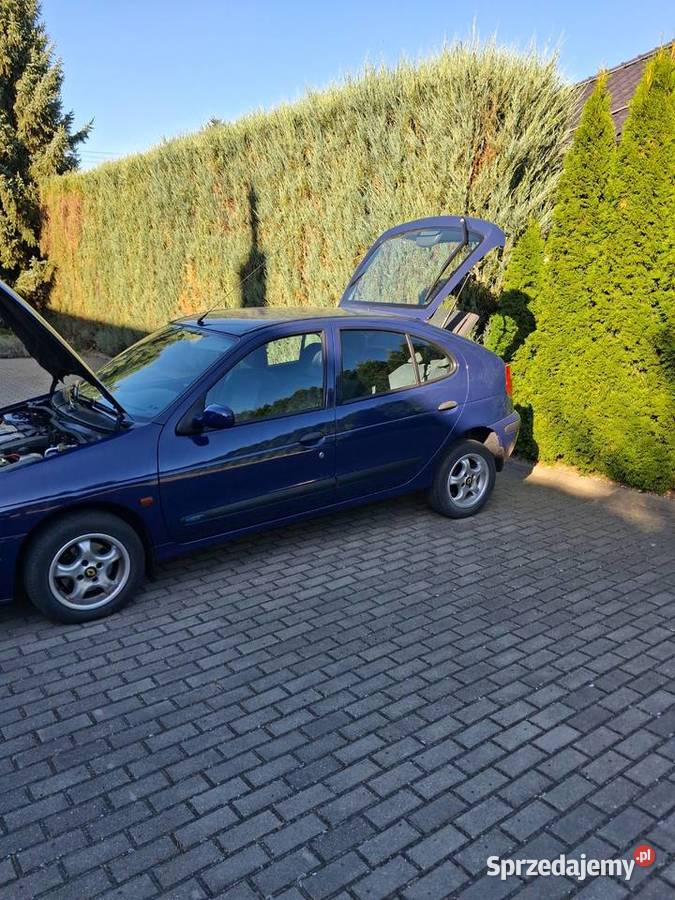 Reno Megane 14 16V 2002r lubelskie Lublin