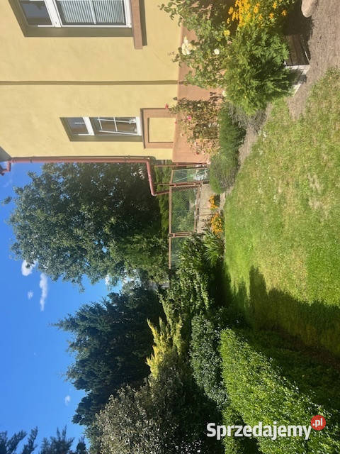 Syndyk sprzeda udział w wysokości 14 Kłodowo