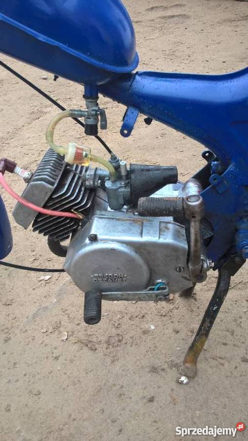 mam komara 2350 ma jakieś dokumenty i dużo Przybyszew