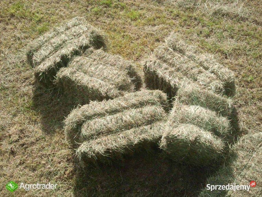 Siano w kostkach Świebodzin
