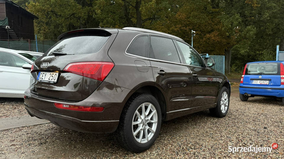 Audi Q5 20tdi 170 quattro panorama ledy bi xenon Gdańsk