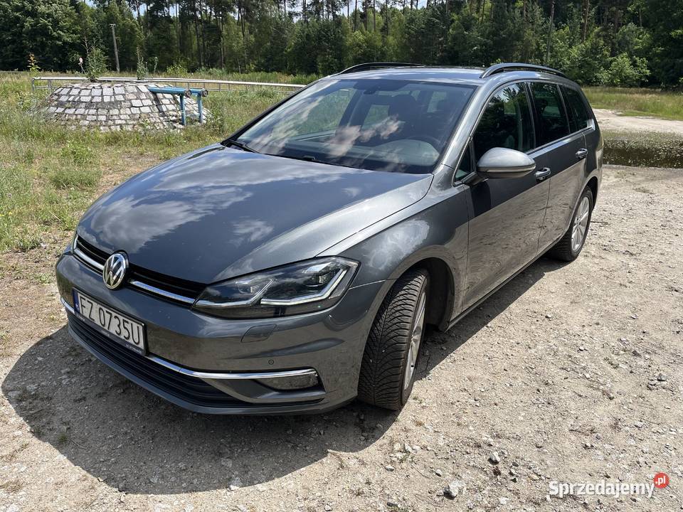 Volkswagen Golf VII 16 TDI kombi 2018 Zielona Góra
