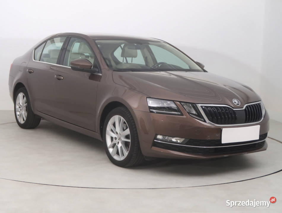 Skoda Octavia 10 TSI Bielany Wrocławskie