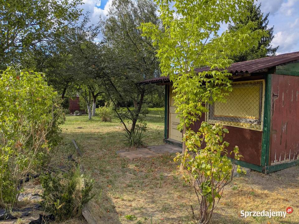 Działka ROD Rekreacyjna Malinka 1 rekreacyjna Radom