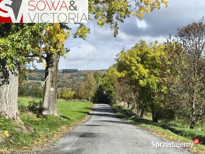 Kameralne miejsce z pięknym widokiem Niedźwiedzica sprzedam