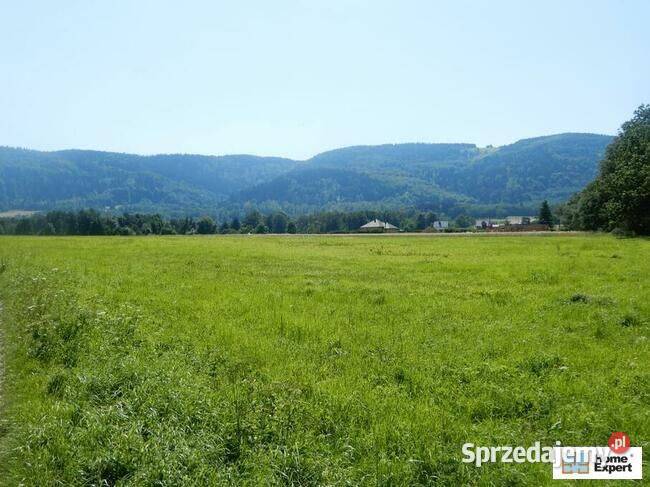 Działka 6000 m2 PolanicaZdrój Polanica-Zdrój sprzedam