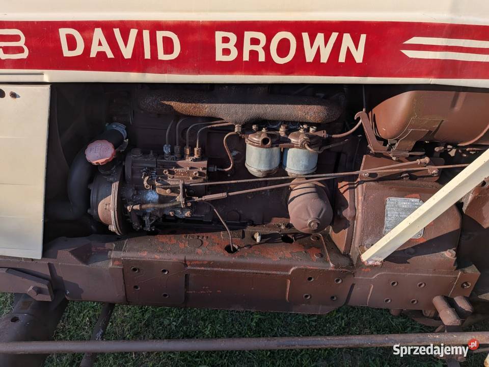 David Brown 1210 Syców