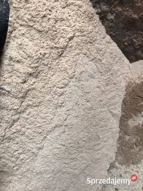 Trocina wielkopolskie sprzedam