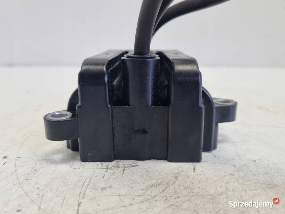 CEWKA ZAPŁONOWA Renault Clio II 12 16V Rudka