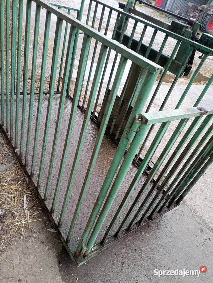 Waga do żywca bydła nieuszkodzony Nowy Korczyn sprzedam