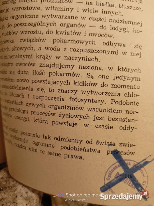 Powszedni dzień roślin Starck książki Warszawa miękka