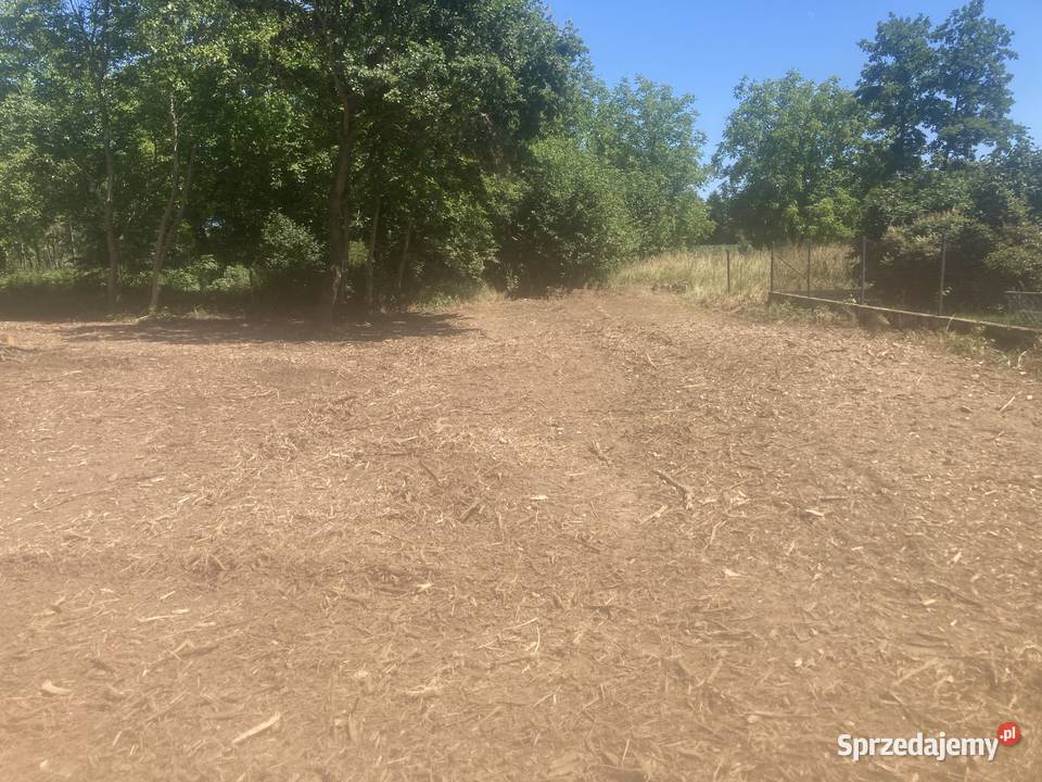 Karczowanie działek pod inwestycje Biskupice