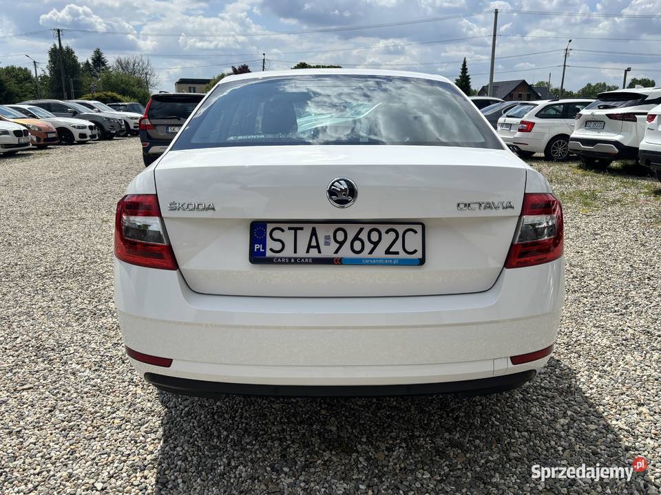 Skoda Octavia wielofunkcyjna kierownica Octavia Paniówki