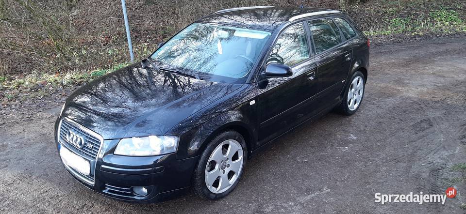 Audi A3 8P TDI 20 140 2008 ALU SLINE Full Długie lakier metallic Nałęczów