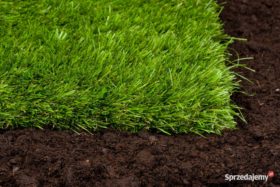 Sztuczna trawa w jakości premium SEWI GRASS wielkopolskie Poznań prace ogrodowe