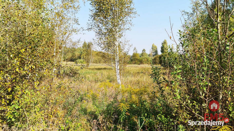 Działka na sprzedaż 5100m2 Ciasne 100m